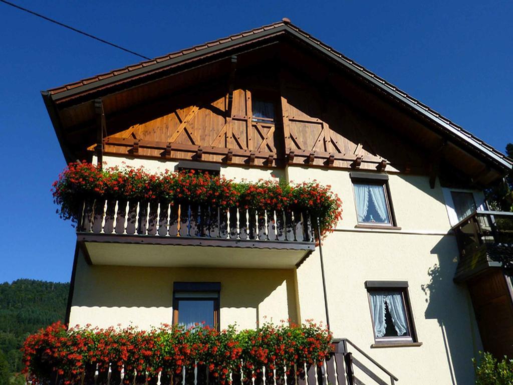 Haus Harter Apartamento Wolfach Exterior foto